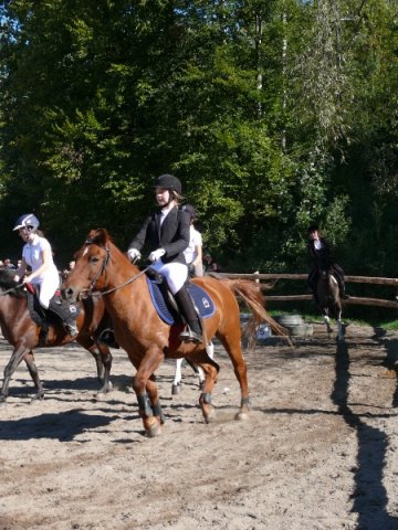 Babie Lato z Hucułami 2015